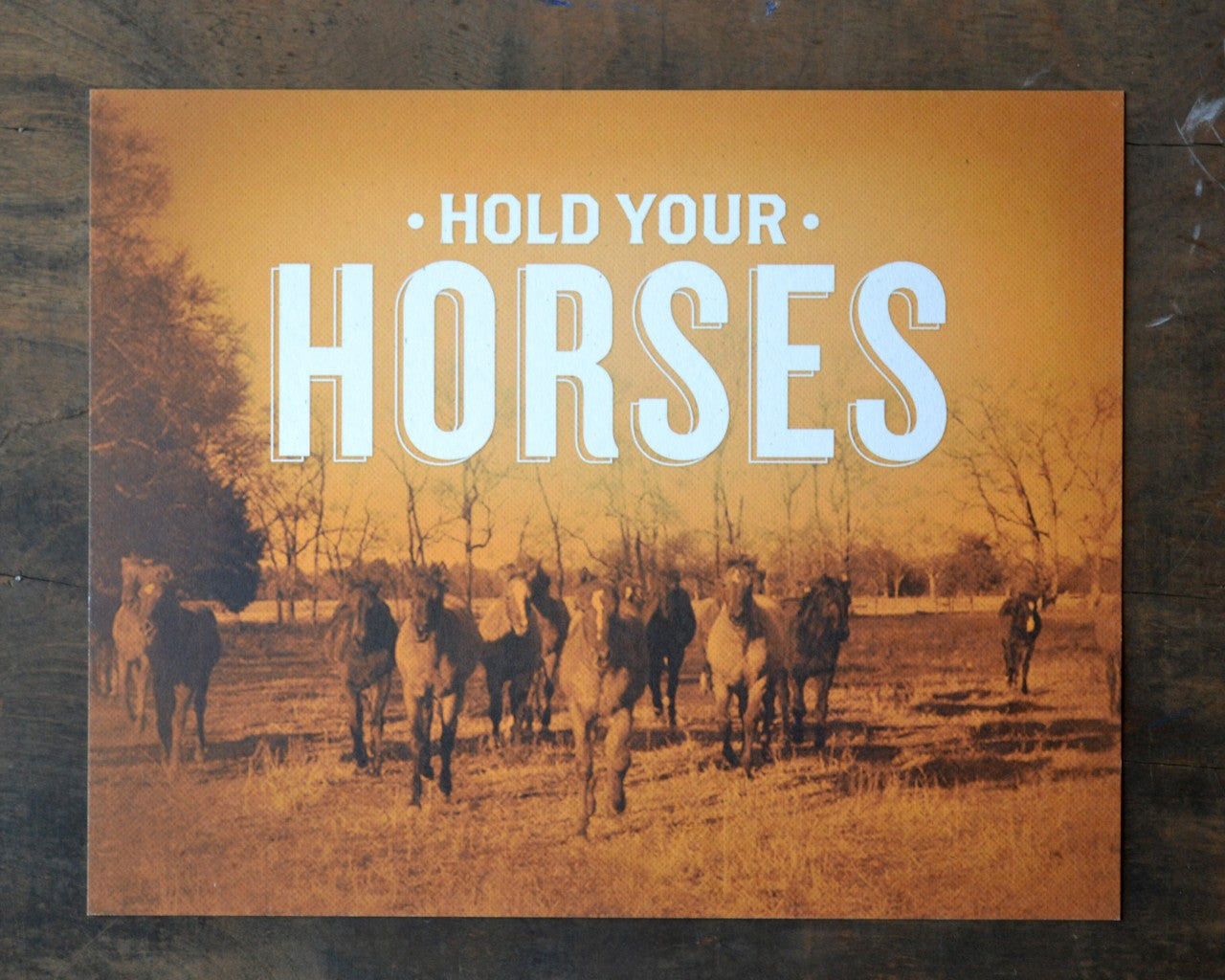 Hold Your Horses Print